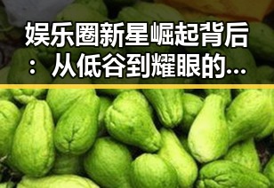 娱乐圈新星崛起背后：从低谷到耀眼的蜕变之路